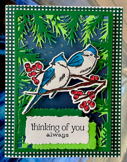 Thinking of you & Get Well Soon